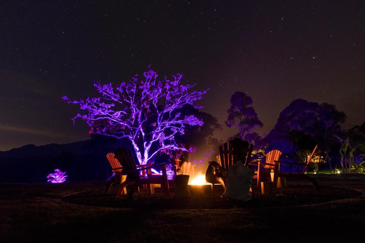Hotel Montana Glamping *